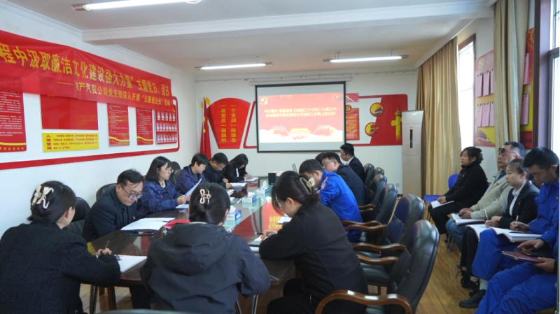 汽貿(mào)公司黨支部召開重溫習(xí)近平總書記在全國國有企業(yè)黨的建設(shè)工作會議上重要講話精神座談會暨2024 年第十二次學(xué)習(xí)(擴(kuò)大)會議